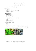 Konspekts 'Darba lapa un pārbaudes darbs 5.klasei "Augu pielāgojumi"', 3.