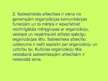 Prezentācija 'Glezniecības un sietspiedes studijas "Peahen" tēla veidošana', 6.