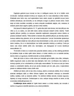 Referāts 'Datora ietekme uz cilvēka veselību, kas saistīta ar mugurkaula centrālās asinsri', 9.