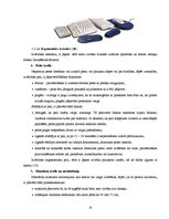 Referāts 'Datora ietekme uz cilvēka veselību, kas saistīta ar mugurkaula centrālās asinsri', 14.