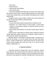 Referāts 'Datora ietekme uz cilvēka veselību, kas saistīta ar mugurkaula centrālās asinsri', 17.