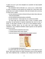 Referāts 'Datora ietekme uz cilvēka veselību, kas saistīta ar mugurkaula centrālās asinsri', 18.
