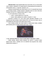 Referāts 'Datora ietekme uz cilvēka veselību, kas saistīta ar mugurkaula centrālās asinsri', 21.