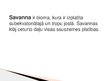 Prezentācija 'Savanna', 2.