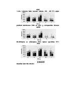 Referāts 'Veselības traucējumu dinamika Černobiļas avārijas seku likvidētājiem vēlīnā peri', 34.