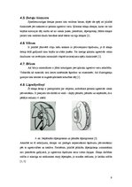 Referāts 'Ķīmiski agresīvu šķidrumu pārvietošanas iespējas - dažādu sūkņu apskats', 9.