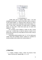 Referāts 'Ķīmiski agresīvu šķidrumu pārvietošanas iespējas - dažādu sūkņu apskats', 16.