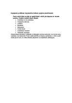 Konspekts 'Kultūras projekti', 2.