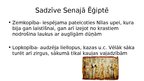 Prezentācija 'Senās Ēģiptes kultūra', 3.