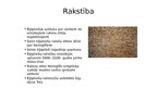 Prezentācija 'Senās Ēģiptes kultūra', 9.