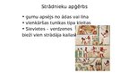 Prezentācija 'Senās Ēģiptes kultūra', 33.
