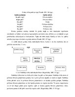 Prakses atskaite 'Patērētāju izvēles uzvedības un izvēli ietekmējošie faktori konditorejas preču k', 8.