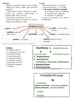 Konspekts 'Ķērpji', 2.