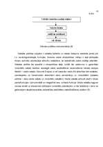 Referāts 'Valodu politika Latvijā un tās ietekme uz latviešu valodas pastāvēšanu', 12.