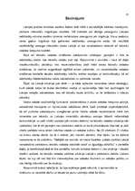 Referāts 'Valodu politika Latvijā un tās ietekme uz latviešu valodas pastāvēšanu', 31.