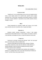 Konspekts 'Mediju plāns muzikālajai apvienībai "Latgalīšu reps"', 1.