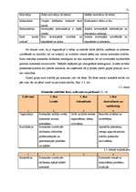 Diplomdarbs 'Darbinieku motivācijas pilnveidošanas iespējas būvmateriālu lielveikalā', 31.