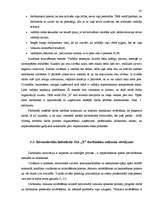 Diplomdarbs 'Darbinieku motivācijas pilnveidošanas iespējas būvmateriālu lielveikalā', 56.