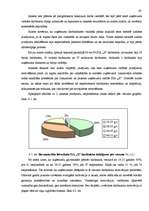 Diplomdarbs 'Darbinieku motivācijas pilnveidošanas iespējas būvmateriālu lielveikalā', 62.