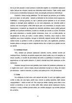 Referāts 'Iepakojums kā patērētāja izvēli ietekmējošs faktors', 13.