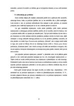 Referāts 'Iepakojums kā patērētāja izvēli ietekmējošs faktors', 16.