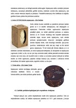 Referāts 'Iepakojums kā patērētāja izvēli ietekmējošs faktors', 22.