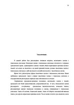 Referāts 'Правовое регулирование сделок с землей и приватизация', 28.