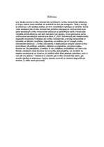 Referāts 'Cilvēku tirdzniecība', 5.