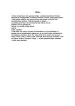 Referāts 'Cilvēku tirdzniecība', 6.