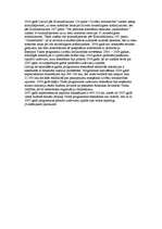 Referāts 'Cilvēku tirdzniecība', 10.