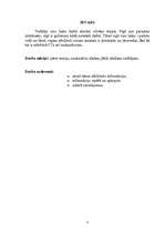 Referāts 'Vadītāja profesionālā etiķete', 3.