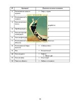 Referāts 'Анализ обложек журнала "Vogue" начало 20 и 21 веков', 60.