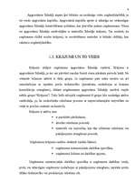 Referāts 'Apgrozāmo līdzekļu krājumu ekonomiskā nozīme uzņēmējdarbībā', 6.