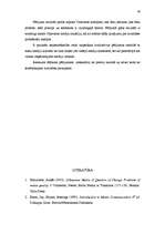 Referāts 'Kvalitātes principu attiecināšana uz Valmieras pilsētas masu medijiem', 28.