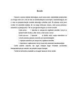 Referāts 'Nanotehnoloģijas zinātniskais darbs', 6.