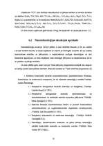 Referāts 'Nanotehnoloģijas zinātniskais darbs', 19.