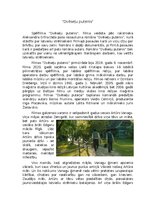 Eseja '"Dvēseļu putenis" filmas analīze', 1.