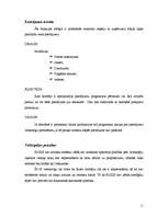 Referāts 'Prasību specifikācijas dokuments', 11.