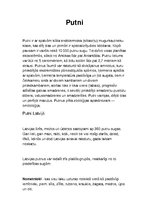 Konspekts 'Putni', 1.