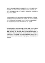 Konspekts 'Putni', 3.