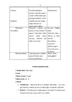 Prakses atskaite 'Pirmsskolas skolotāja prakses mape', 13.