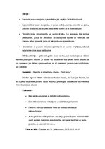 Paraugs 'Skeitparka "Third story" atklāšanas pasākuma plāns', 2.