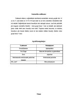 Paraugs 'Skeitparka "Third story" atklāšanas pasākuma plāns', 3.