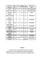 Paraugs 'Skeitparka "Third story" atklāšanas pasākuma plāns', 4.