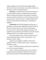 Eseja 'Karavīrs un saskarsme', 3.