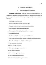 Prakses atskaite 'SIA "Italpica"', 4.