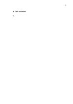 Prakses atskaite 'SIA "Italpica"', 5.