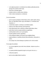 Prakses atskaite 'SIA "Italpica"', 14.