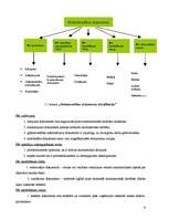 Diplomdarbs 'Grāmatvedības dokumentu klasifikācija un organizācija uzņēmumā SIA ”X”', 6.