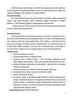 Diplomdarbs 'Grāmatvedības dokumentu klasifikācija un organizācija uzņēmumā SIA ”X”', 7.